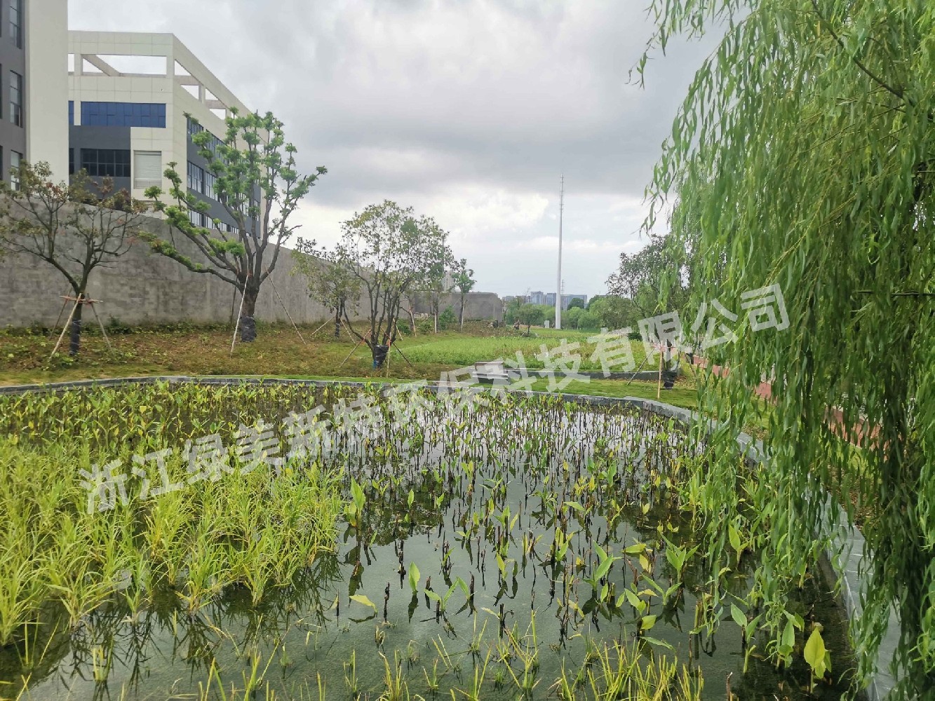 台州玉环人工湿地项目