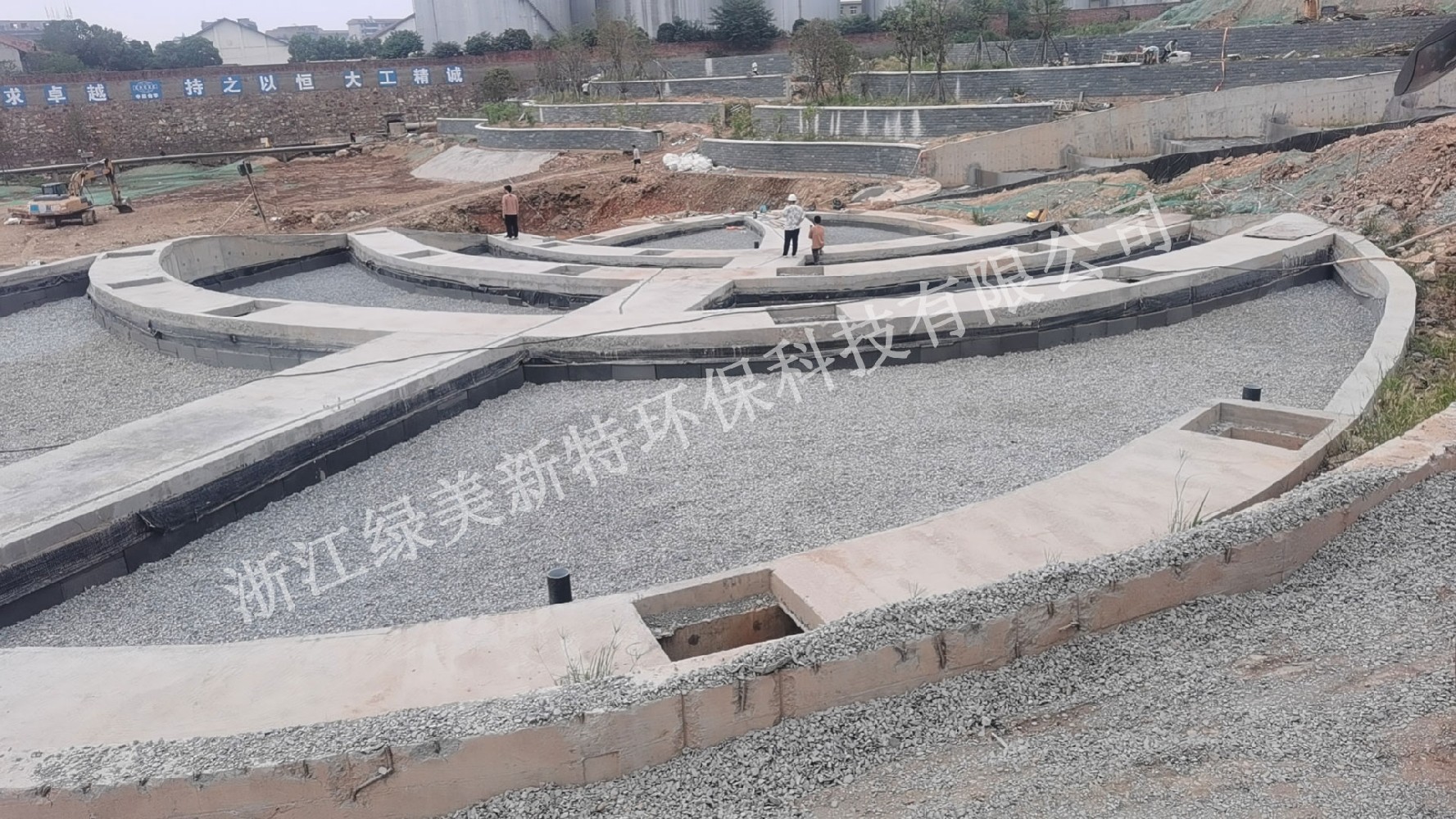 遇见“地球之肾”:走进会呼吸的绿色奇迹