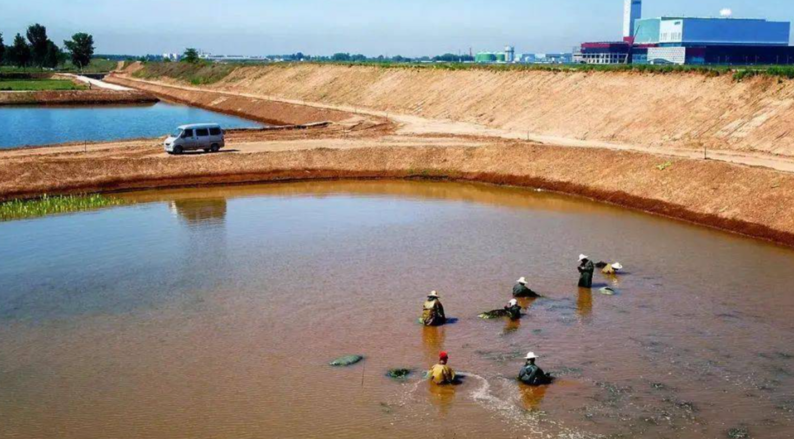 绿美新特人工湿地功能滤料：生态净水的“隐形心脏”